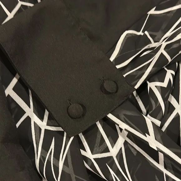 Bisou Bisou Sheer Blouse L - Picture 3 of 6